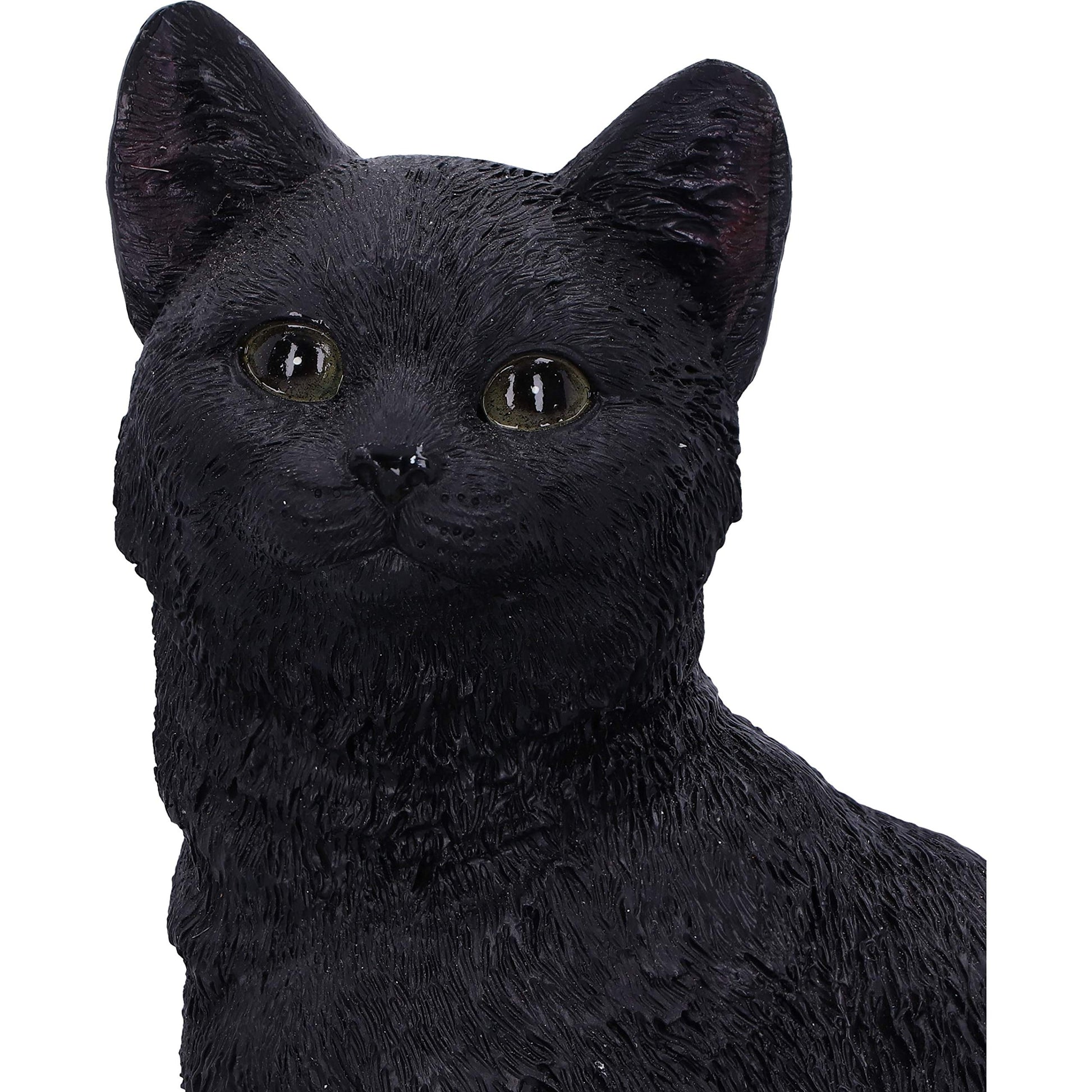 Familiar Fate Black Witches Cat and Skull Figurine 24.3cm 7