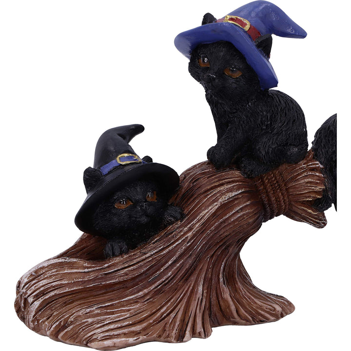 Purrfect Broomstick Witches Familiar Black Cats and Figurine 27.5cm
