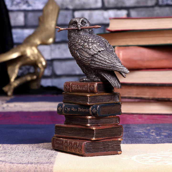 Bronze Spellcraft Witches Familiar Owl on Book Figurine 14cm