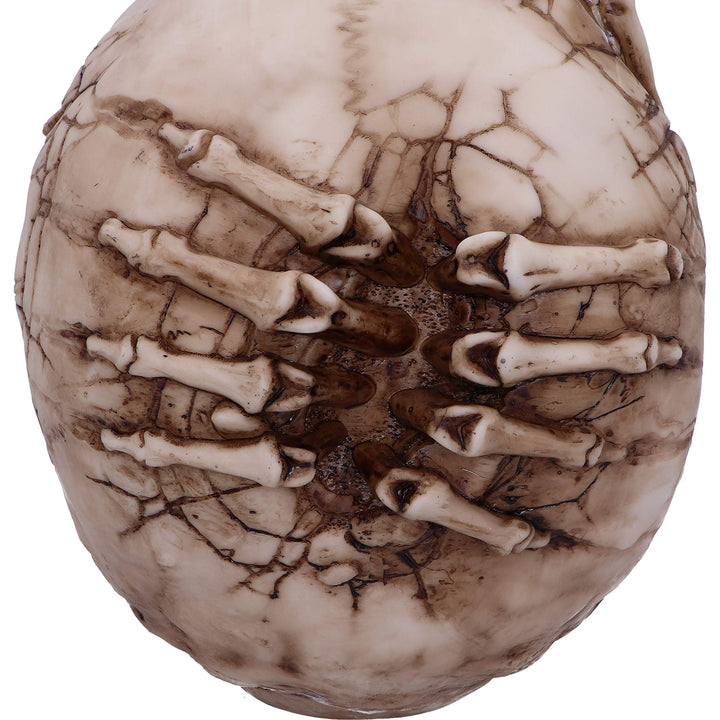 Breaking Out Skull Skeleton Ornament 20cm