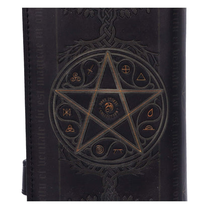 Anne Stokes The Summoning Witch and Dragon Embossed Purse 18.5cm 8