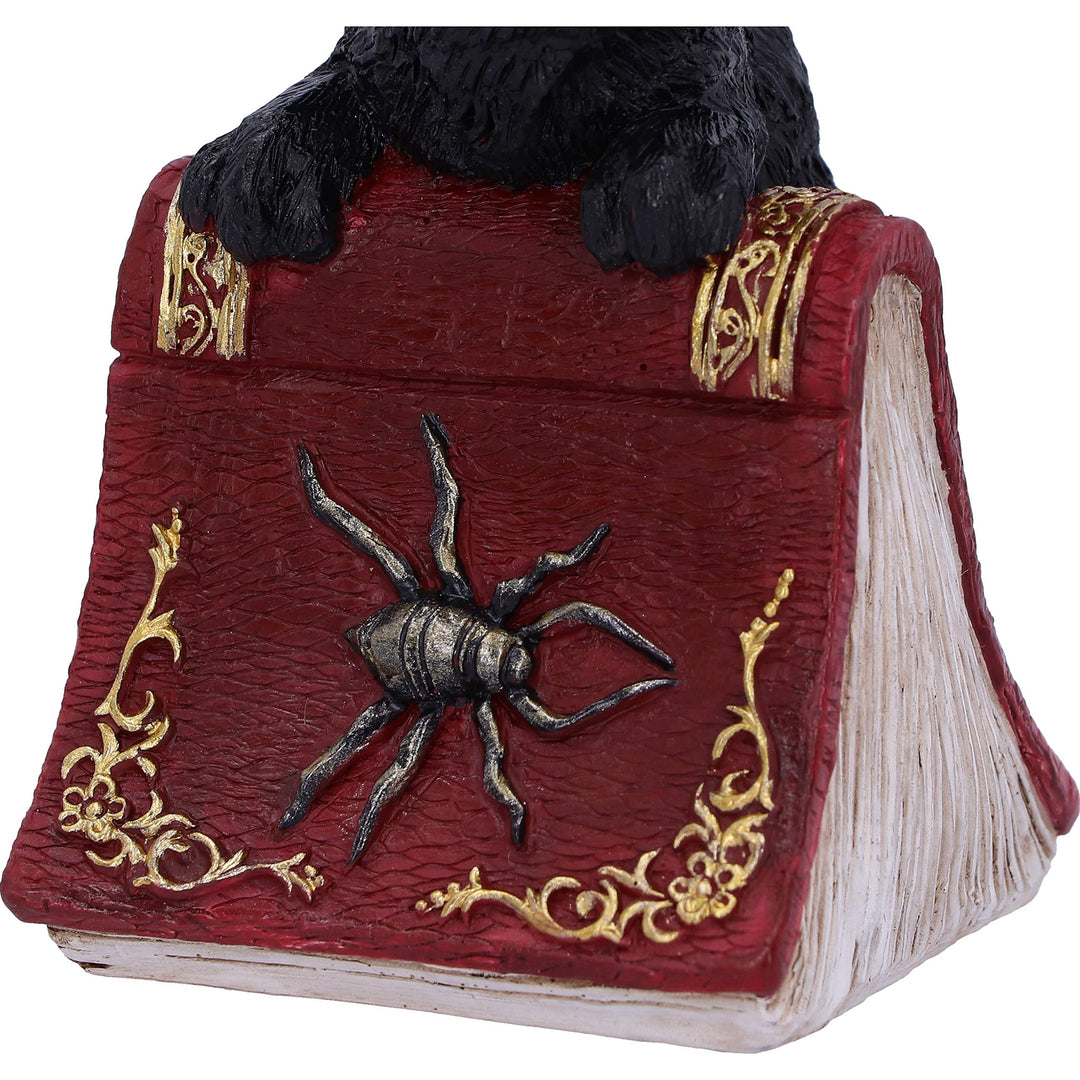 Hocus Small Witches Familiar Black Cat and Spellbook Figurine 12.7cm