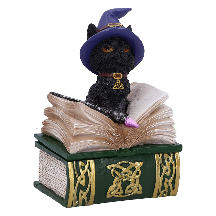 Binx Small Witches Familiar Black Cat and Spellbook Figurine Box 11cm