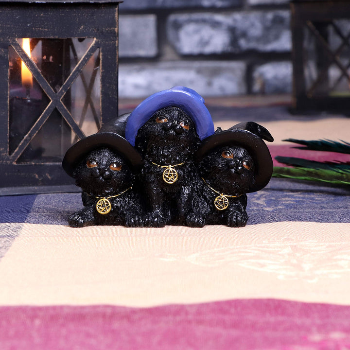 Familiar Felines Black Cats in Witches Hats Figurine 9.8cm