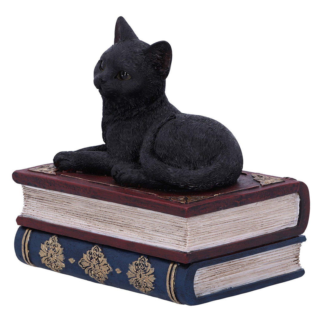 Salems Spells Witches Familiar Black Cat and Spellbook Box 11.7cm