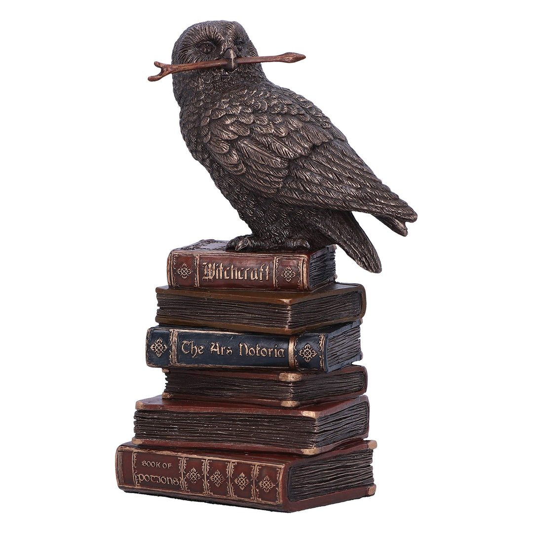 Bronze Spellcraft Witches Familiar Owl on Book Figurine 14cm
