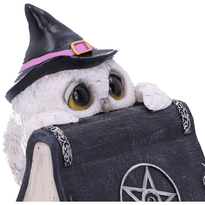 Owl with book Figurine 15cm Owls Spell