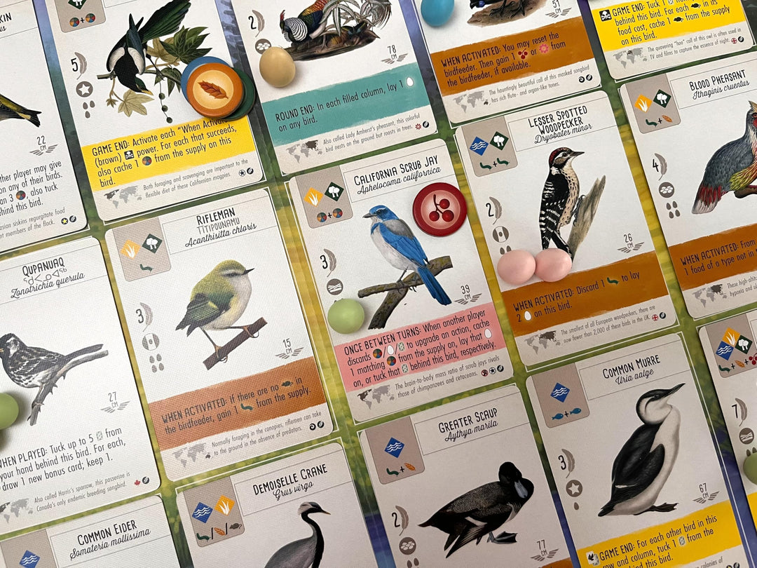 Retailer Display Box for Wingspan Fan Designed Packs 3