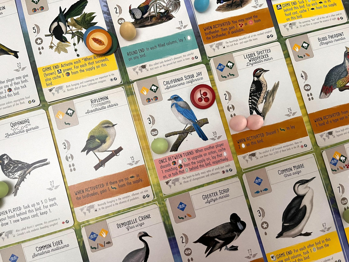 Retailer Display Box for Wingspan Fan Designed Packs Board Game by Stonemaier 3