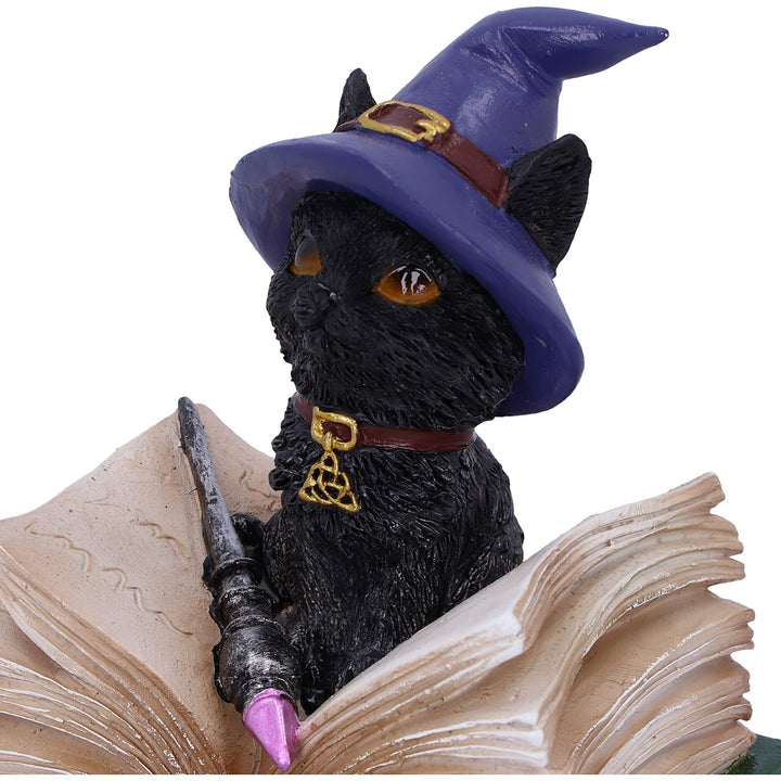 Binx Small Witches Familiar Black Cat and Spellbook Figurine Box 11cm