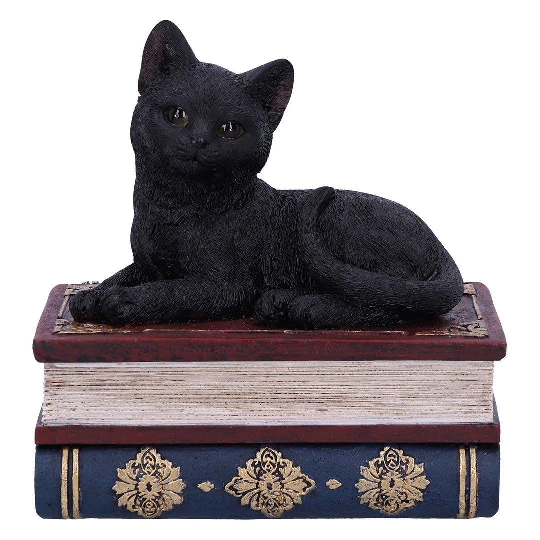 Salems Spells Witches Familiar Black Cat and Spellbook Box 11.7cm