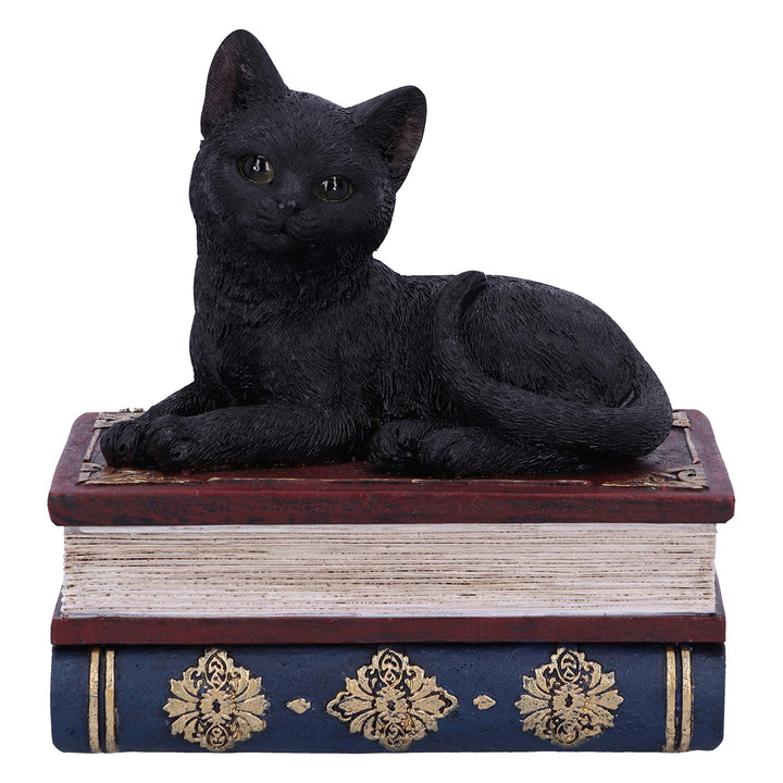 Salems Spells Witches Familiar Black Cat and Spellbook Box 11.7cm