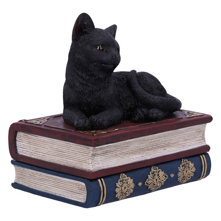 Salems Spells Witches Familiar Black Cat and Spellbook Box 11.7cm
