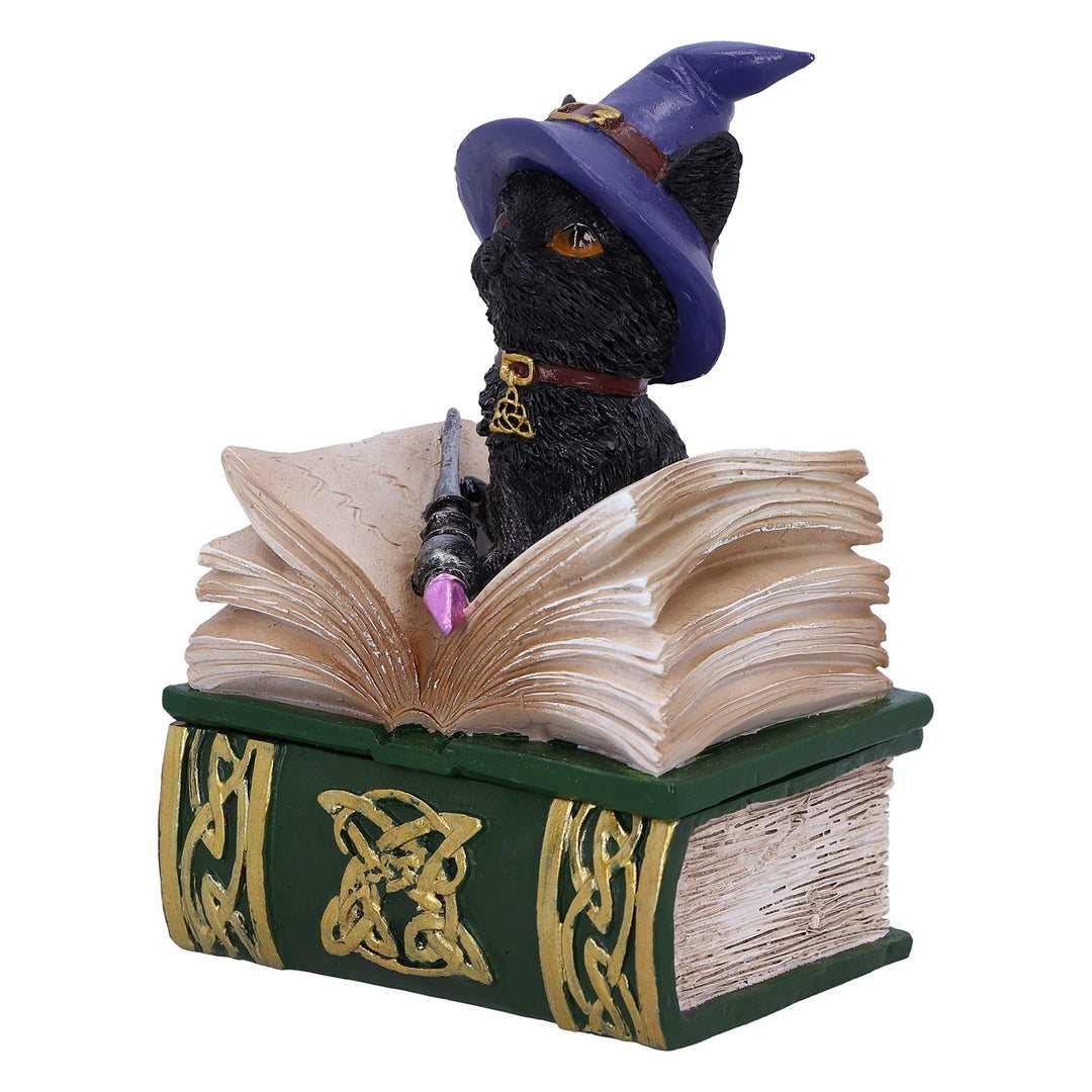 Binx Small Witches Familiar Black Cat and Spellbook Figurine Box 11cm