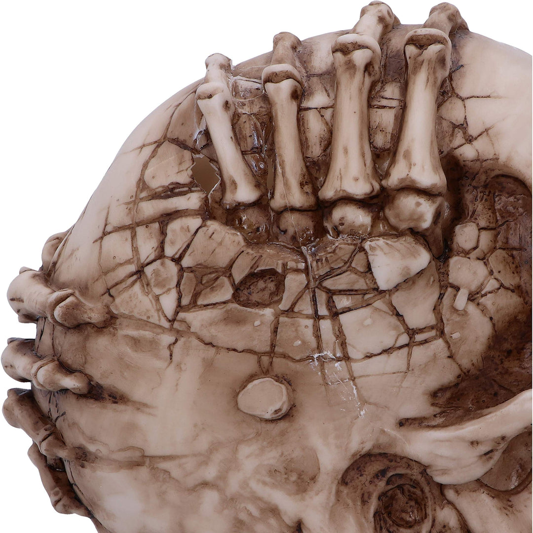 Breaking Out Skull Skeleton Ornament 20cm
