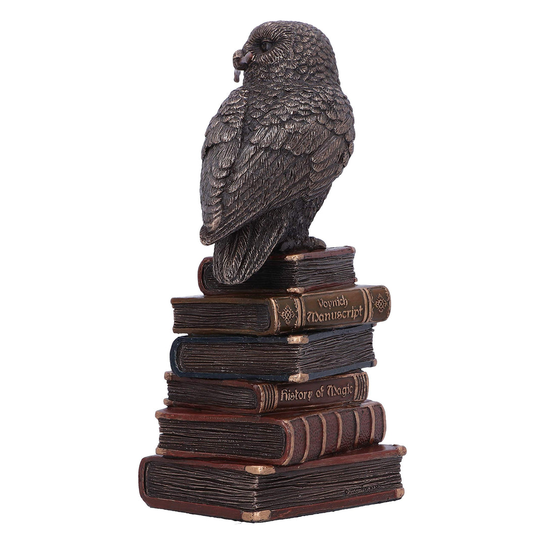 Bronze Spellcraft Witches Familiar Owl on Book Figurine 14cm