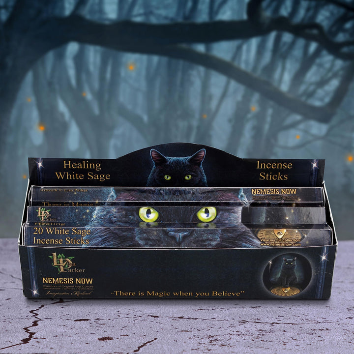 White Sage Scented Healing Incense Sticks