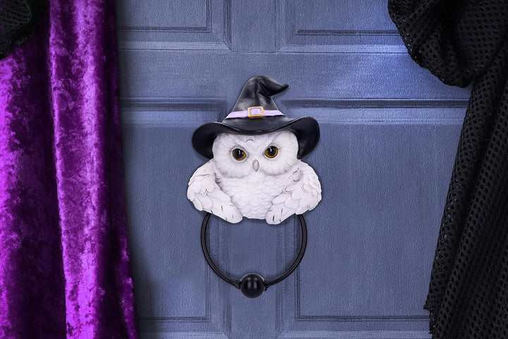 Snowy Owl Magic Door Knocker 21cm