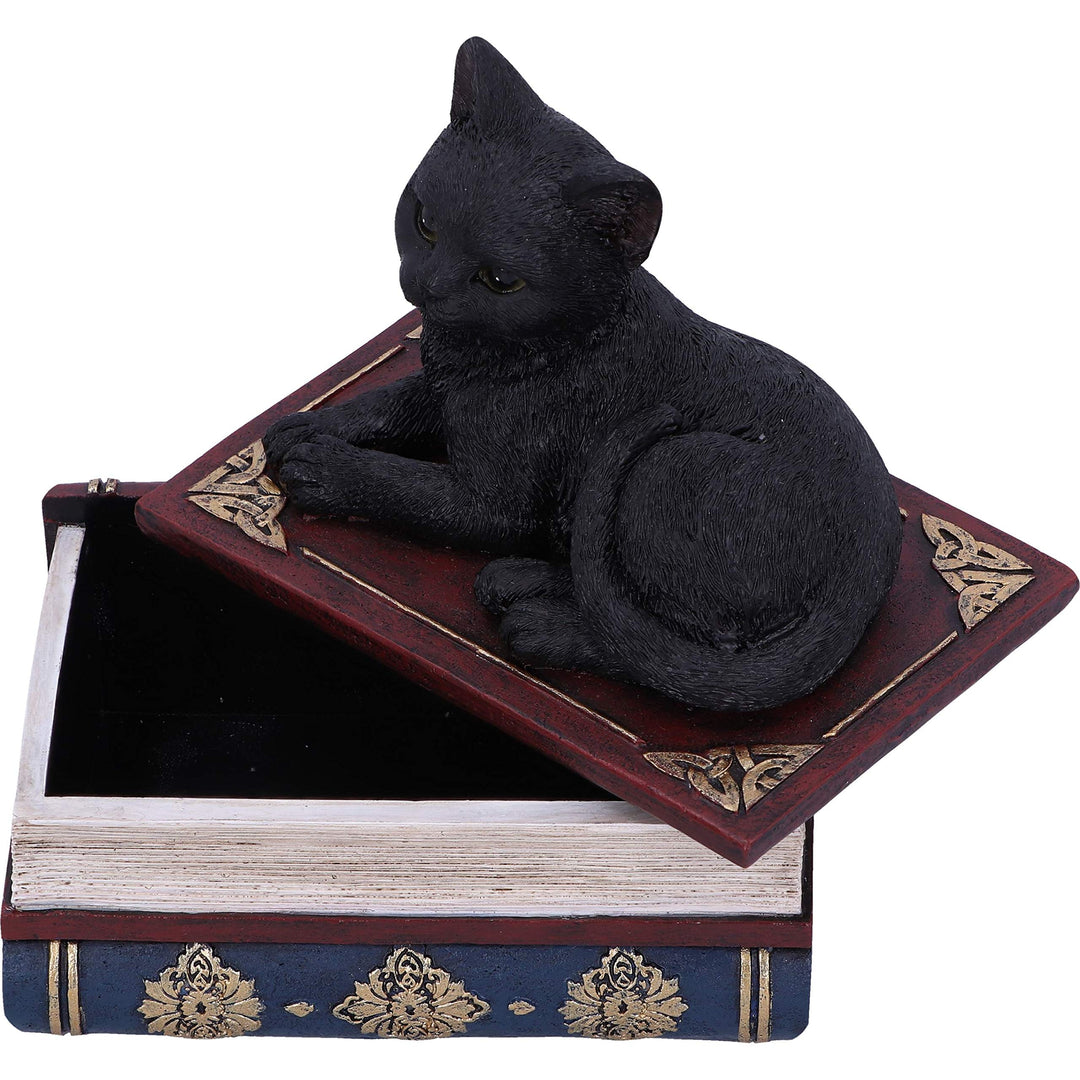 Salems Spells Witches Familiar Black Cat and Spellbook Box 11.7cm