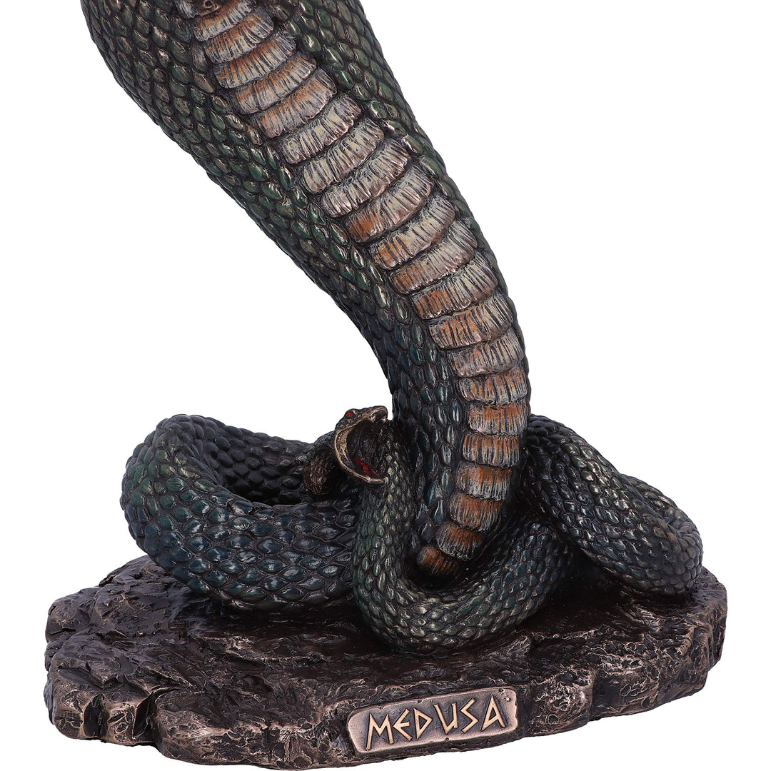 Bronze Mythological Medusas Wrath Figurine 36cm Medusa