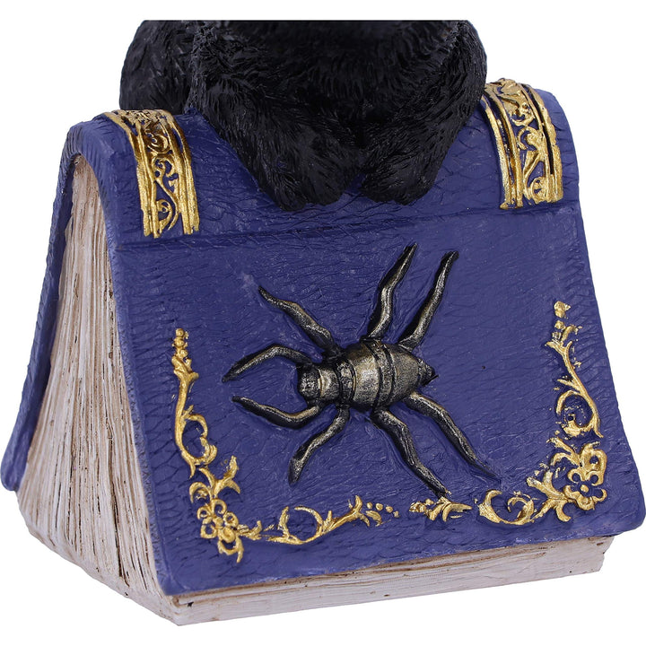 Pocus Small Witches Familiar Black Cat and Spellbook Figurine 12.7cm