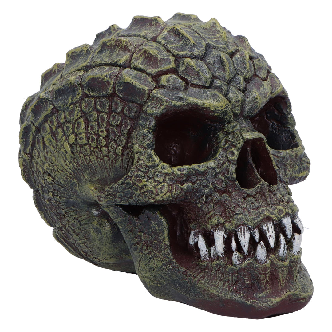 Reptillian Scale Skull 17cm