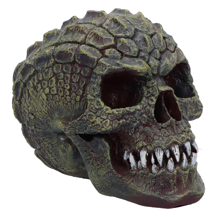 Reptillian Scale Skull 17cm