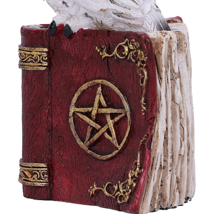 Avian Spell Owl Figurine Red 12.5cm 7