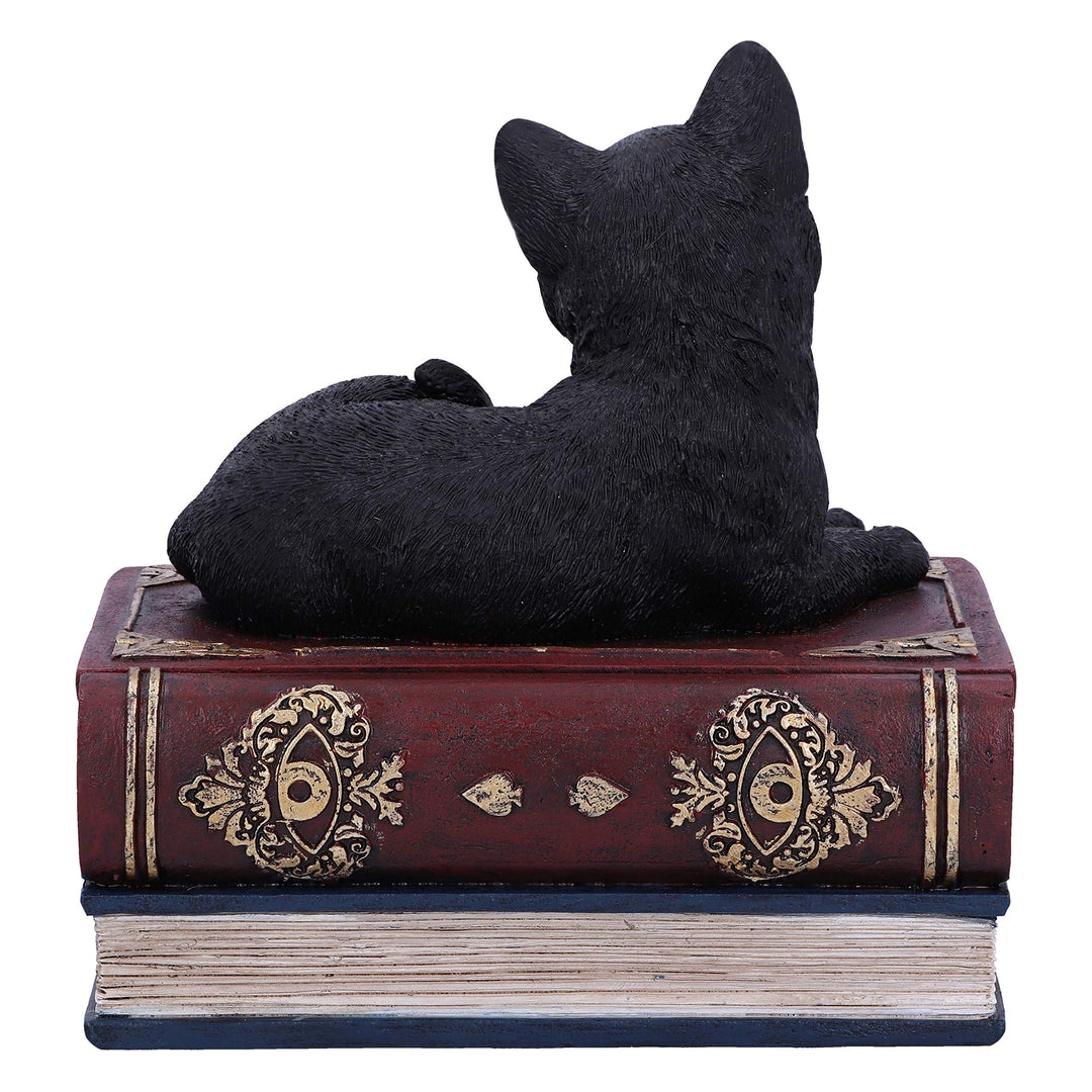 Salems Spells Witches Familiar Black Cat and Spellbook Box 11.7cm