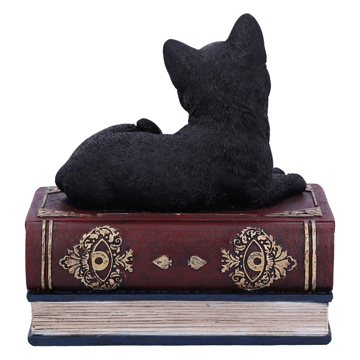 Salems Spells Witches Familiar Black Cat and Spellbook Box 11.7cm