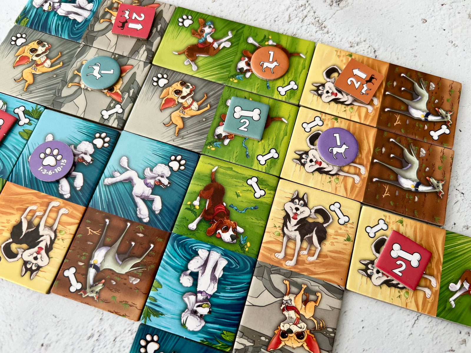 Fireside Games Zoomies – Fast-Paced Dog Walking Family Card Board Game Fun for All Ages Quick Play 2 to 4 Players Ages 10+ 2
