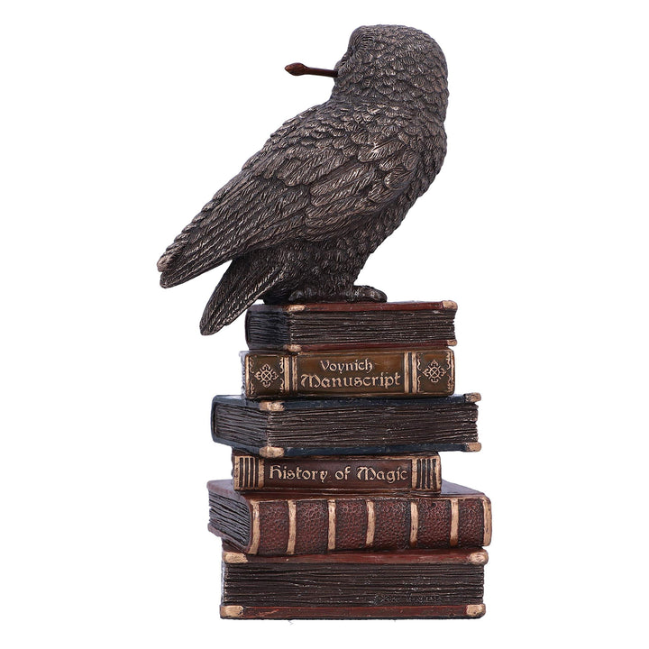 Bronze Spellcraft Witches Familiar Owl on Book Figurine 14cm