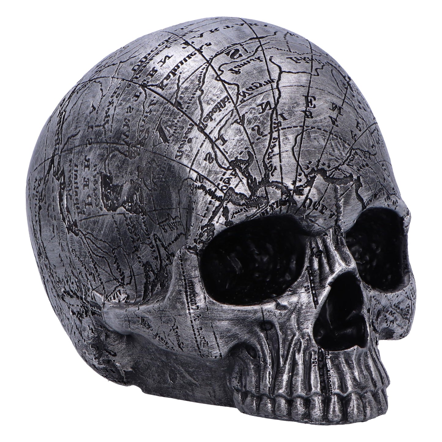 Mind Map Skull Head 15cm 2