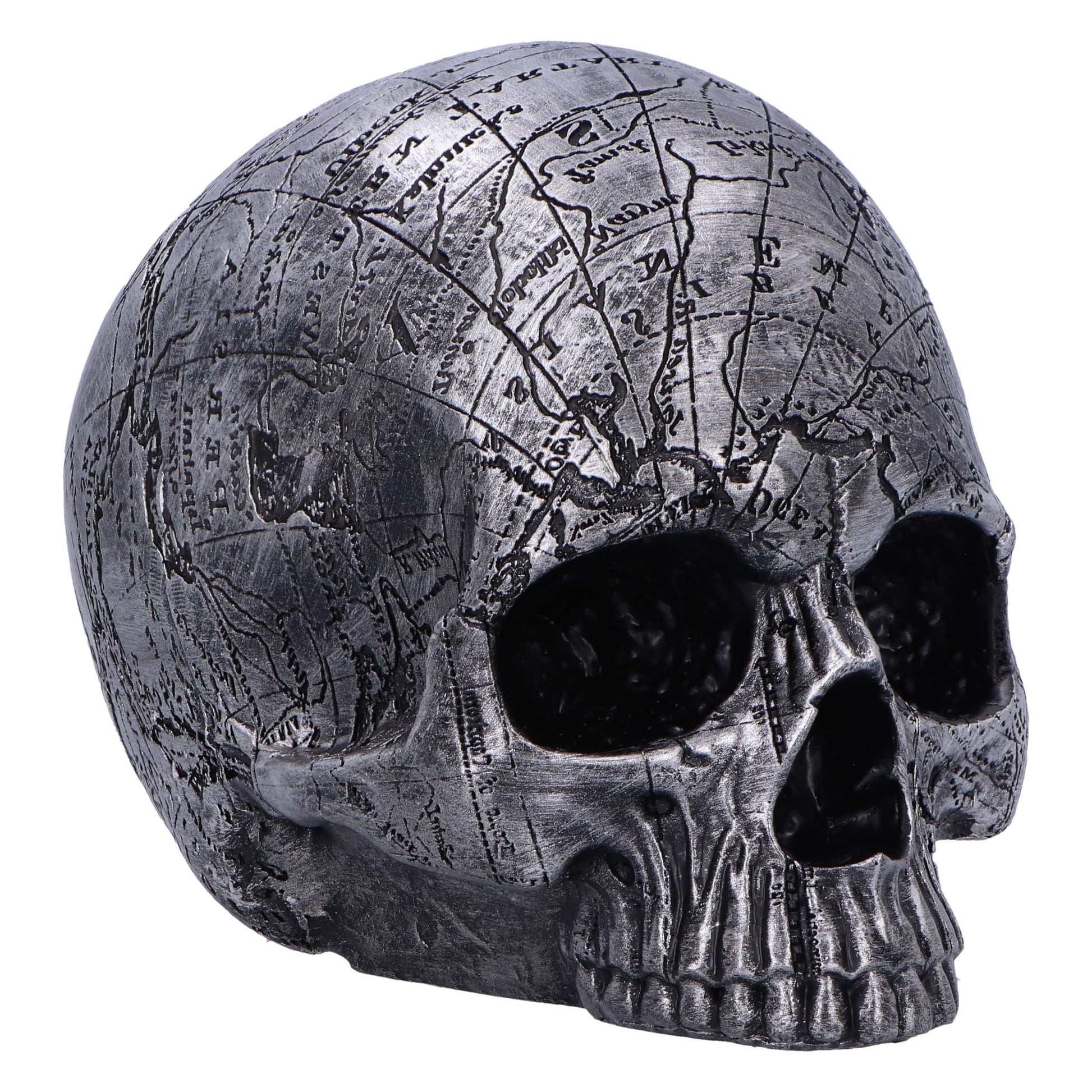 Mind Map Skull Head 15cm 2
