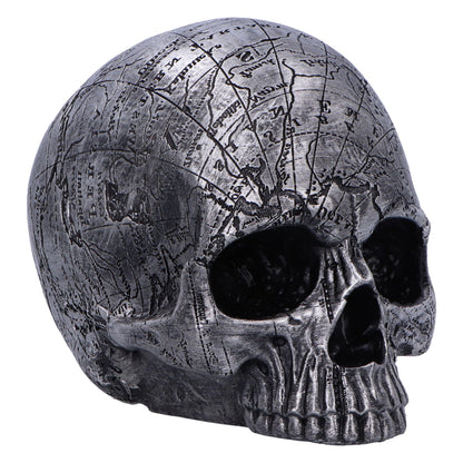 Mind Map Skull Head 15cm 2