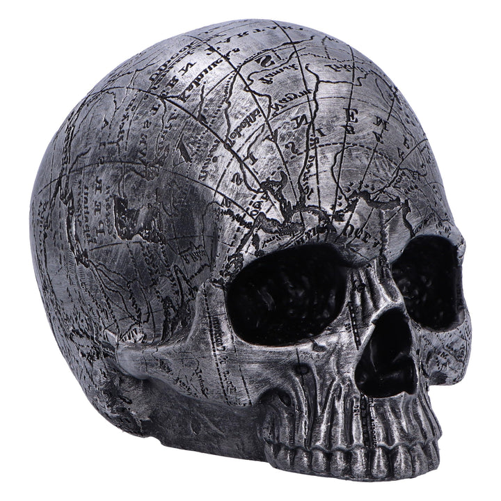 Mind Map Skull Head 15cm