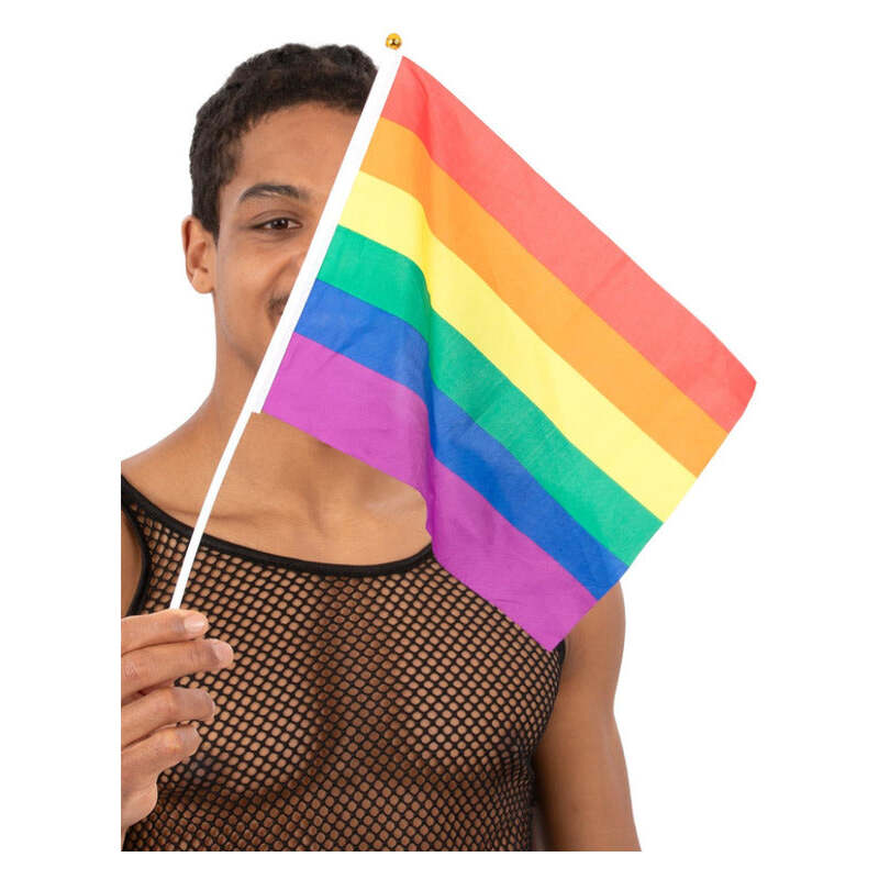 Hand Held Rainbow Flags 45x30cm 12Pk 1