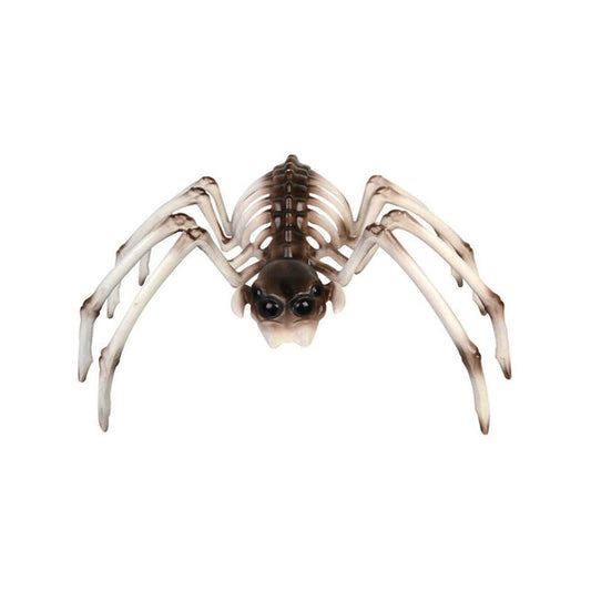 Spider Skeleton Prop Halloween Decoration 1