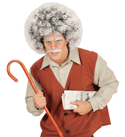 Old Man / Mad Scientist Wig In Polybag