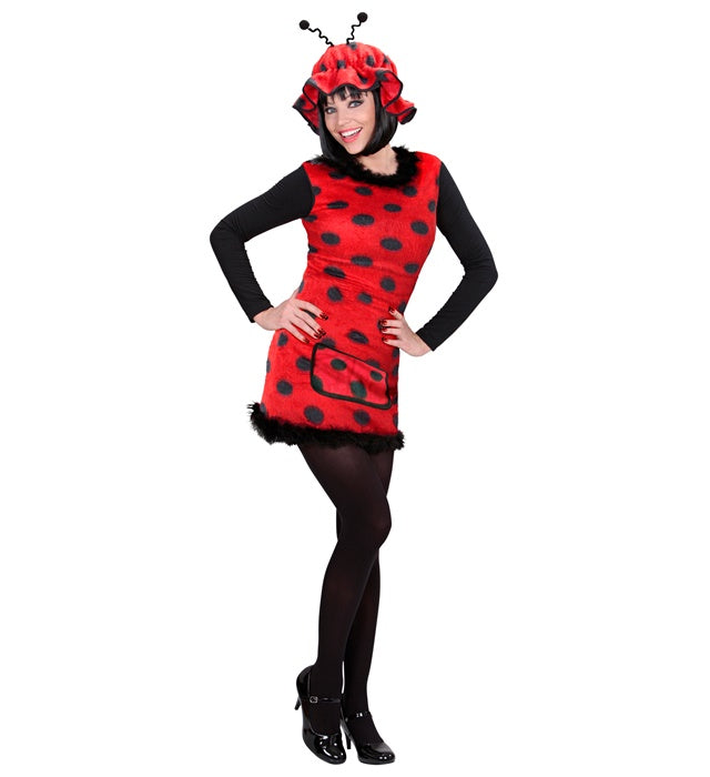 Ladybug  Dress, Hat 