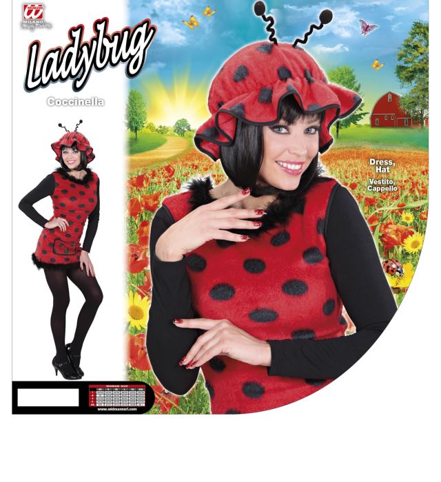 Ladybug  Dress, Hat 