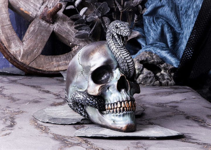 Serpentine Fate Gothic Snake Skull 19cm