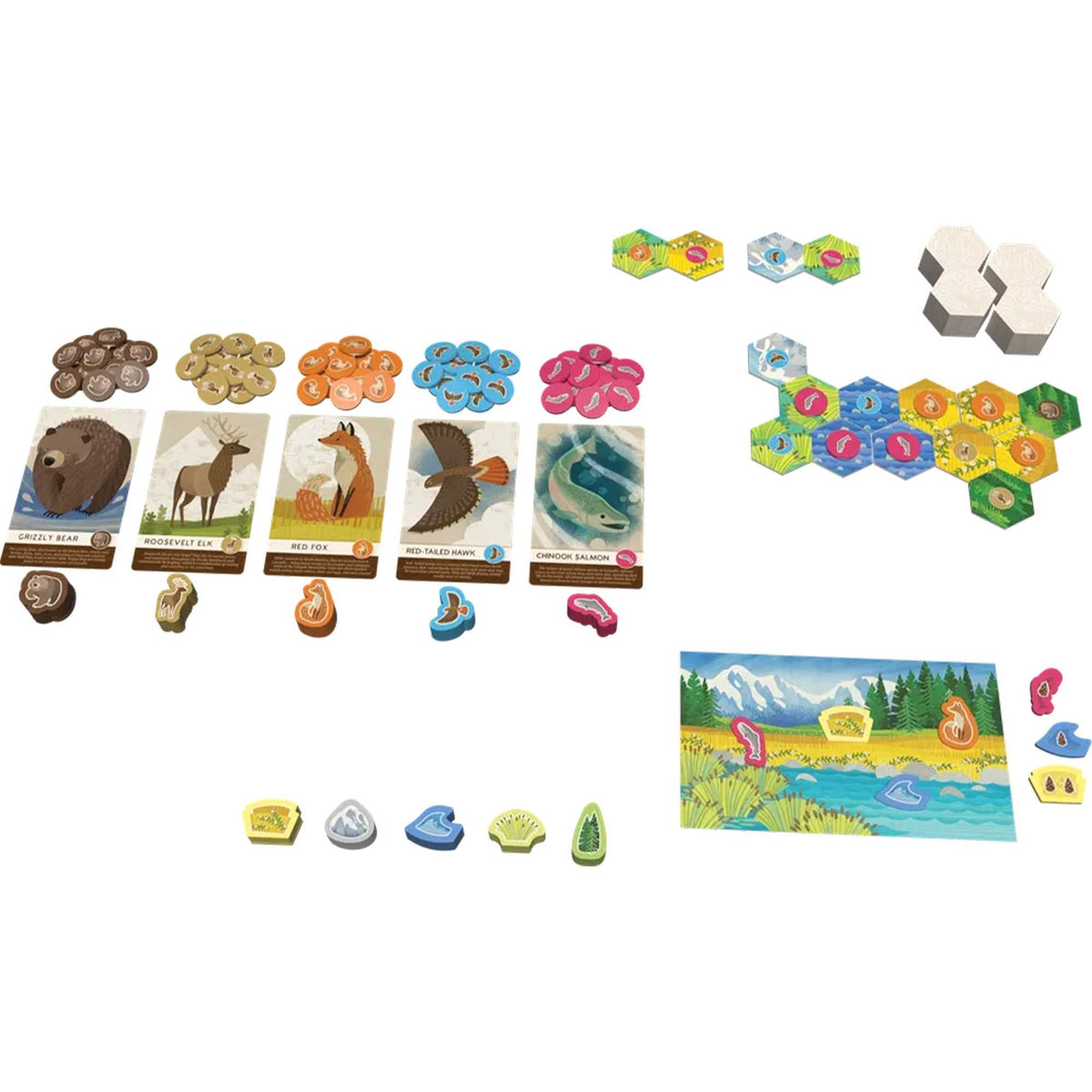 Cascadia Junior Board Game by Alderac Entertainment Group 4