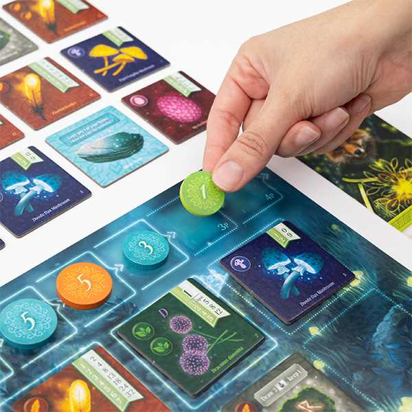 Nocturne Board Game Set Collection and Bidding Play as Fox Mystics Find Magical Items