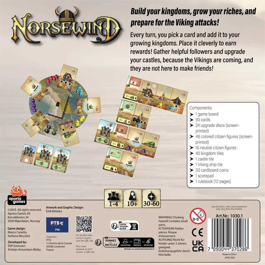 Norsewind Board Game by Aporta 3