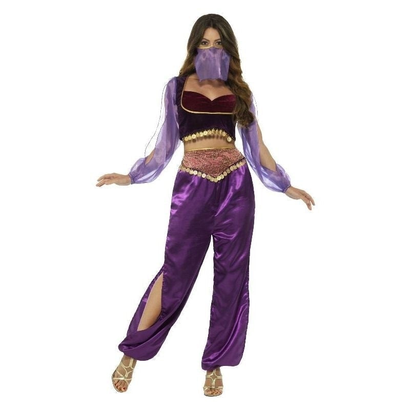 Arabian Princess Jasmine Costume Adult Purple Trousers Top Veil 2