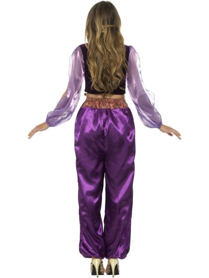 Arabian Princess Jasmine Costume Adult Purple Trousers Top Veil