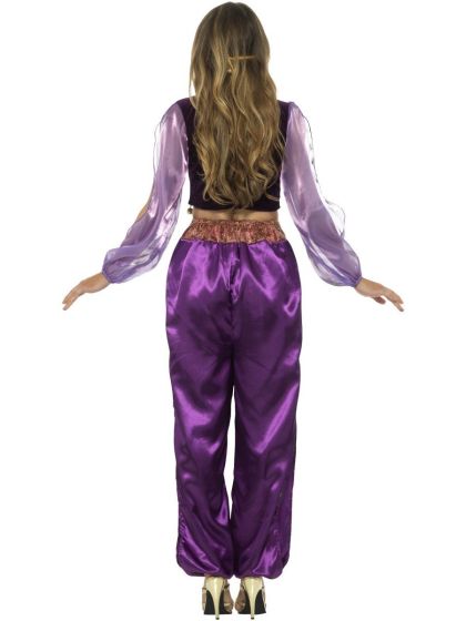 Arabian Princess Jasmine Costume Adult Purple Trousers Top Veil 3