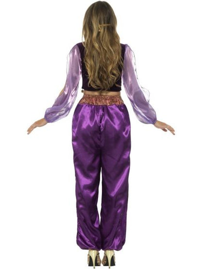 Arabian Princess Jasmine Costume Adult Purple Trousers Top Veil 3