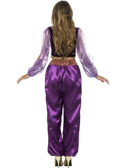 Arabian Princess Jasmine Costume Adult Purple Trousers Top Veil_3
